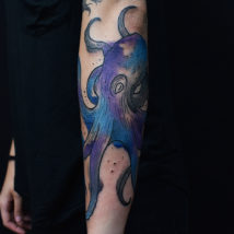 Octopus,Watercolor