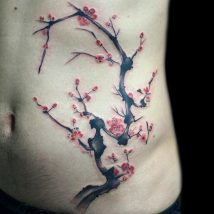 cherryblossom